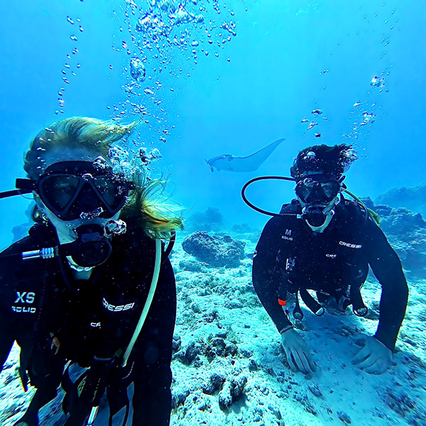 Plongée à Maupiti Plongée à Maupiti